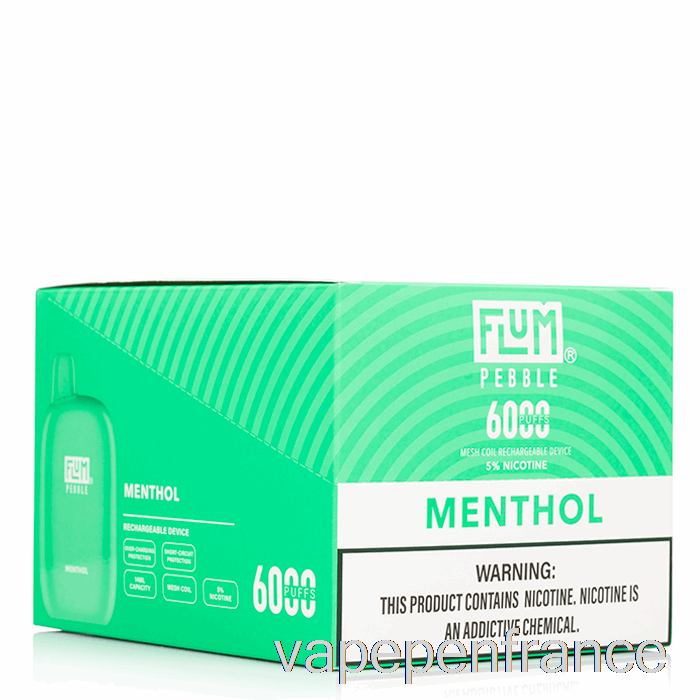 [Paquet De 10] Stylo Vape Jetable Flum Pebble 6000